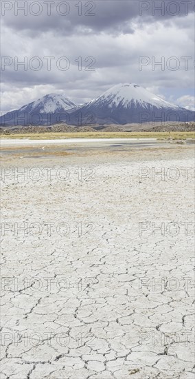 Dried up salt lake with the volcanos Parinacota
