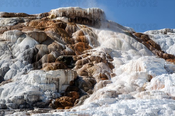 Limestone sinter terraces