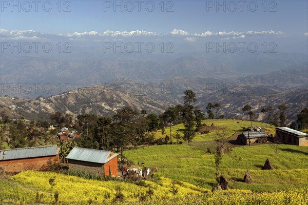 View of terraced fields and the mountains of the Himalayas