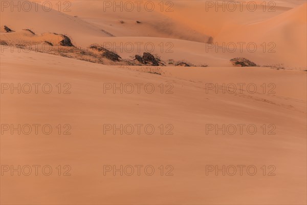 The red sand dunes of MÅ©i Ne