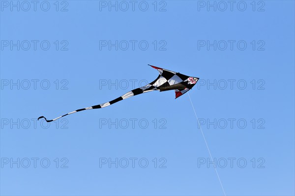 Black and white checkered kite with red wing tips flying in a blue sky