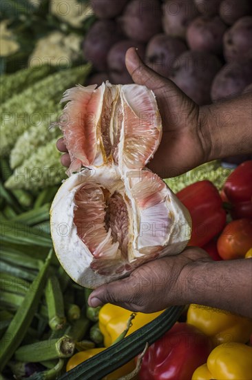 Freshly cut pomelo