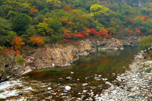 Black River in autumn landscape