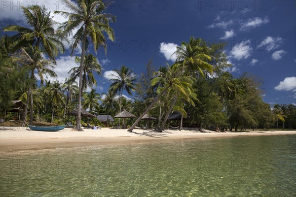 Beach with coconut trees