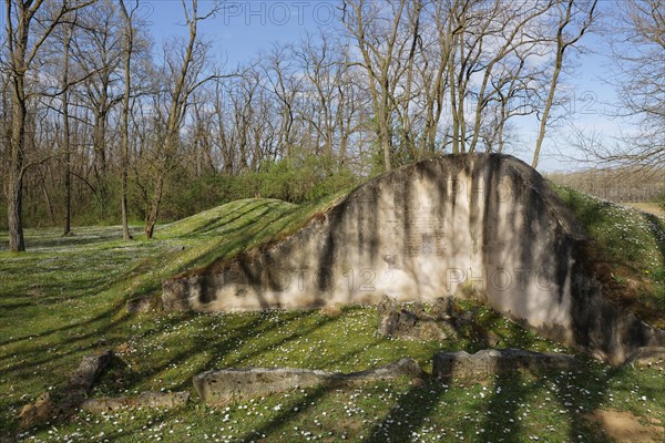 Late Bronze Age burial mounds in the Schussenwald forest