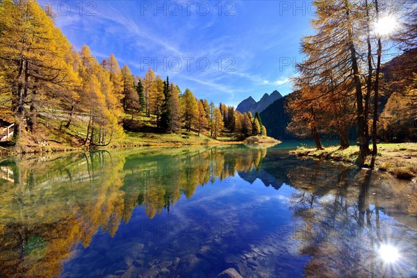 Sun and autumnally coloured larch trees reflected in lake Lei da Palpuogna