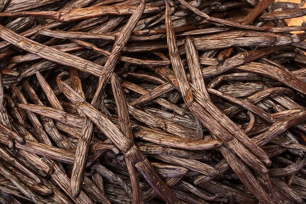 Vanilla pods (Vanilla planifolia)