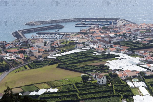 View of Vila Franca do Campo