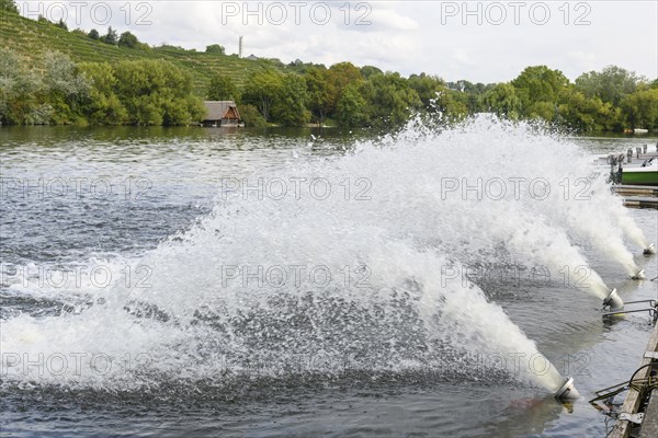 Ventilation of Lake Max-Eyth due to fish mortality