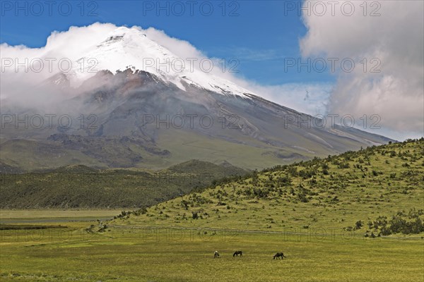 Snow-covered summit of Cotopaxi volcano rises from a cloud cover