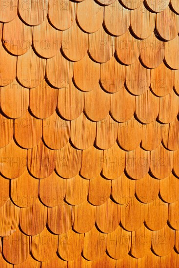 Larch shingle facade