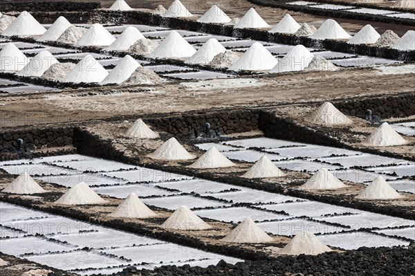 Sea salt production
