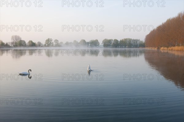 Ponds