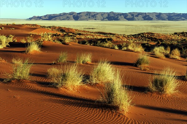 Southern foothills of the Namib desert