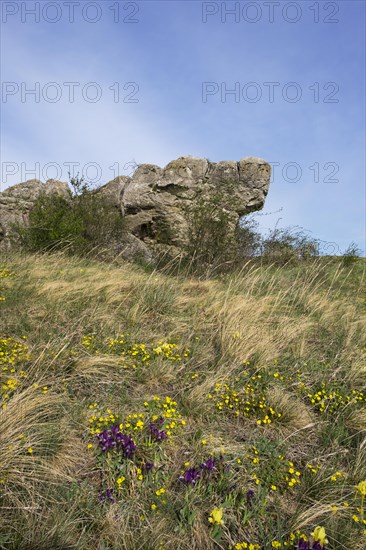 Holzlstein rock