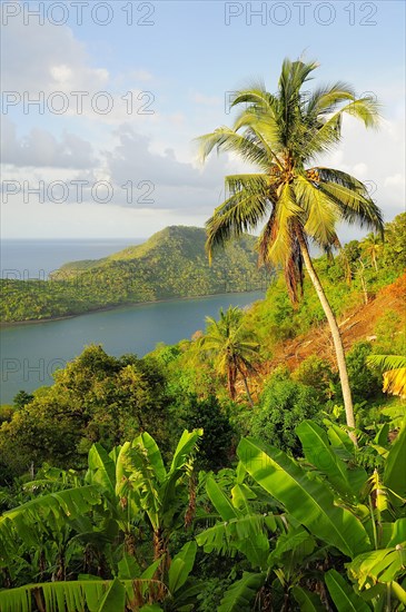 The northern tip of the island Grande-Terre with the Baie de Handreman