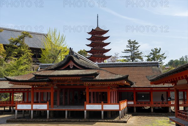 Itsukushima Shrine and Toyokuni Shrine