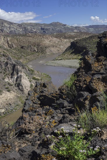 Lava of the Cerro Payun volcano and the Grande river