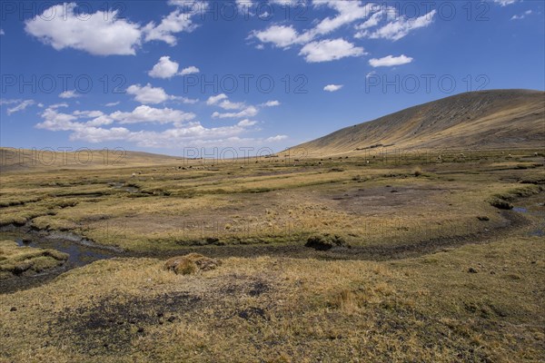 Bolivian plateau Altiplano