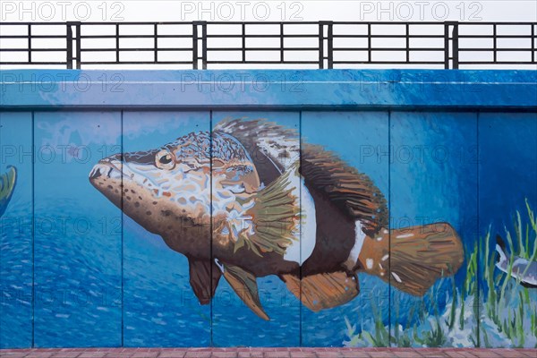 Harbour wall with paintings of marine animals