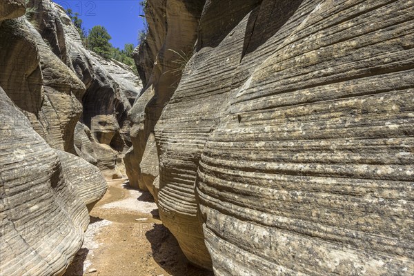 Hiking trail through Willis Creek Canyon