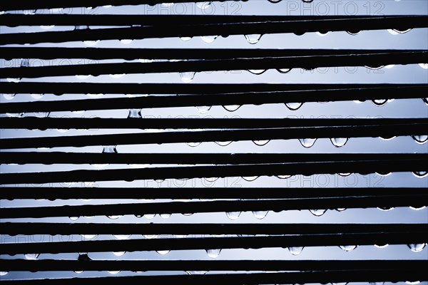 Close up of water drops on black plastic strings