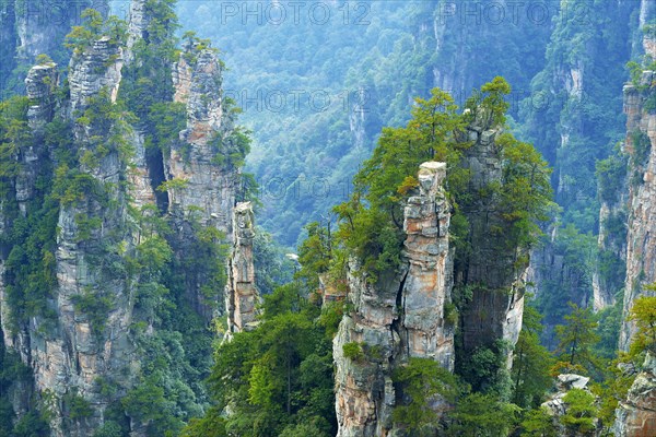 Tianzishan mountain with vertical rock columns of quartz sandstone