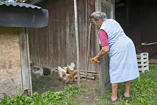 Farmer working on the farm