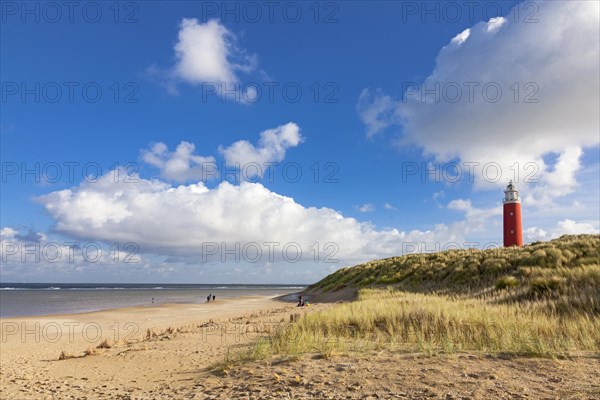 Eierland Lighthouse with dunes