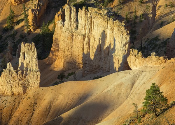 Rocks at Sunrise Point in the morning light