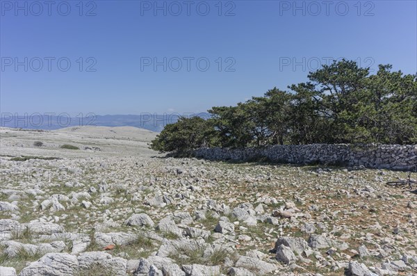 Plateau of the Moon