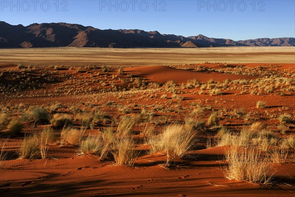 Southern foothills of the Namib desert