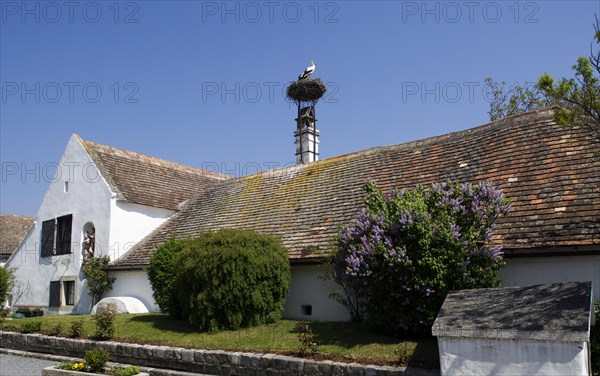 Farmhouse with a stork's nest