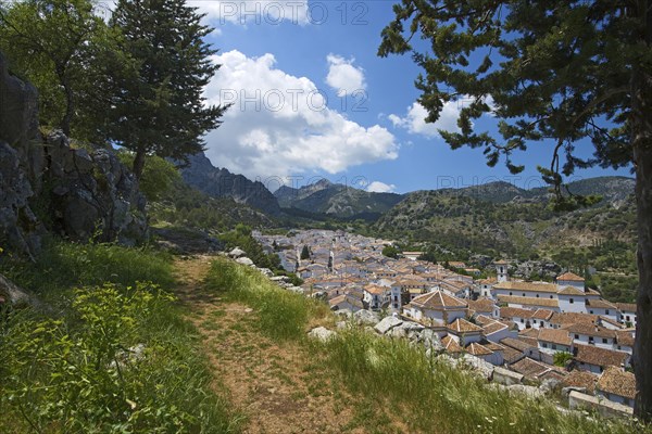 View of the village of Grazalema