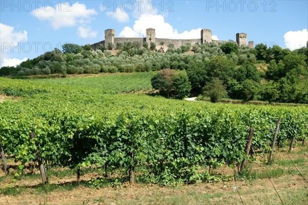Ramparts of the medieval village of Monteriggioni