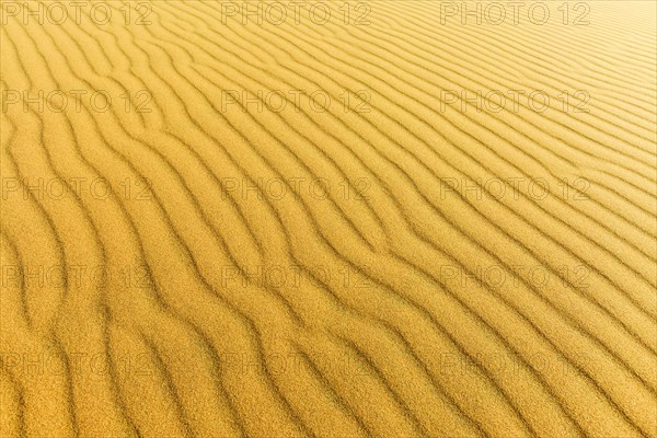 Wave pattern in the sand