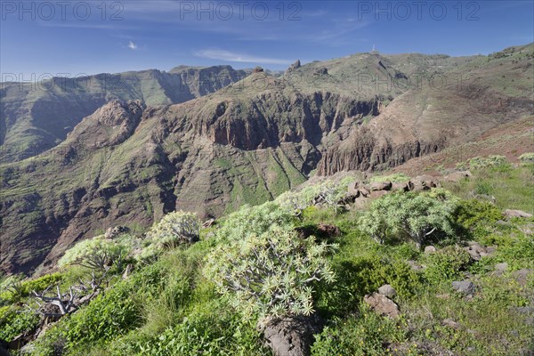 Barranco de Vera gorge