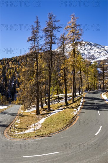Albula pass road
