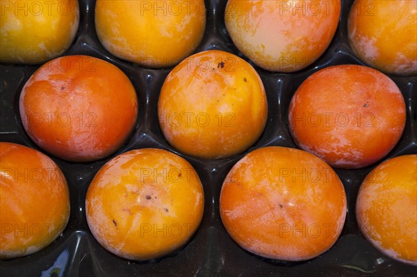 Persimmons (Diospyros kaki) in a fruit crate