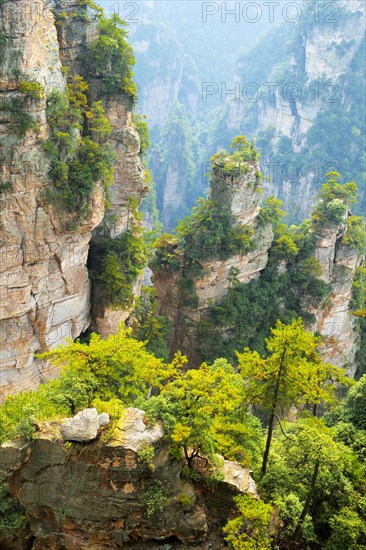 Avatar Mountains with vertical quartz-sandstone pillars