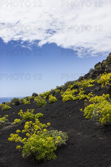 Volcano landschaft