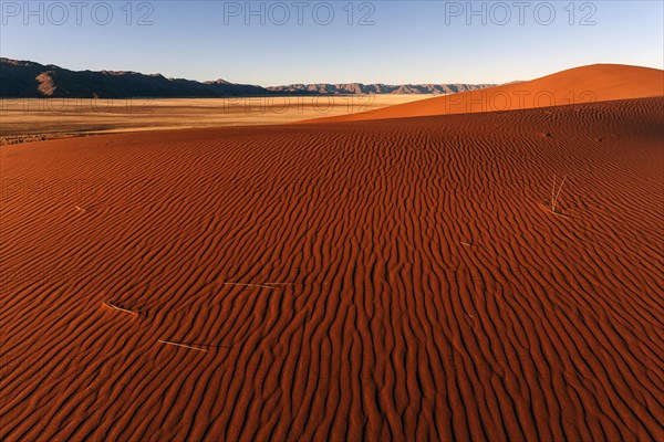 Sand dunes in the evening light