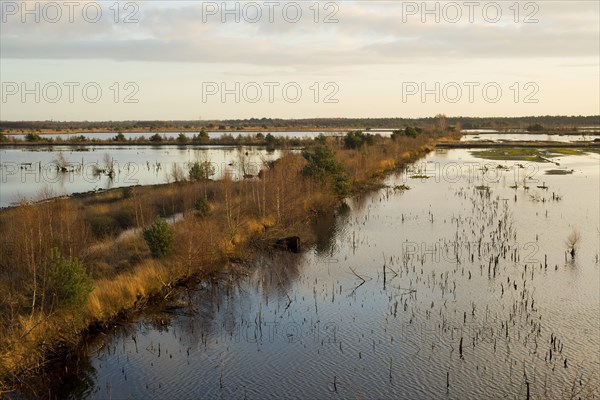 Moor landscape