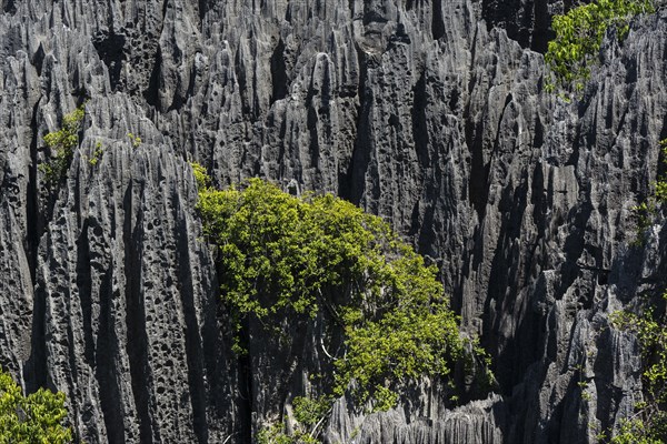 Karst Landscape