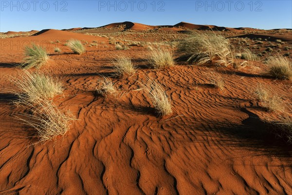 Southern foothills of the Namib desert