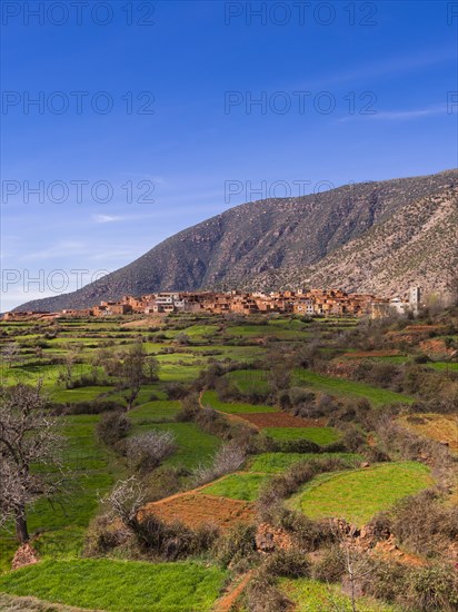 Ourika Valley