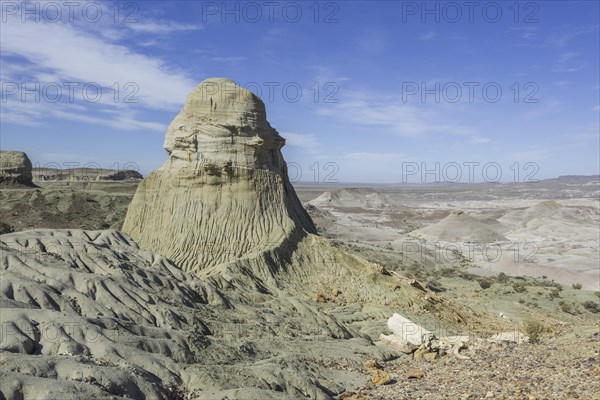 Petrified forest Bosque Petrificado National Monument