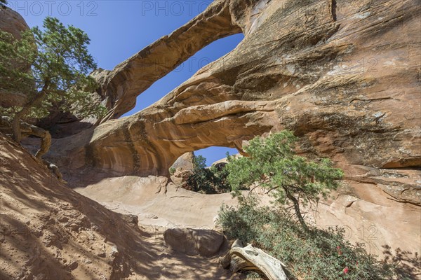 Double O Arch