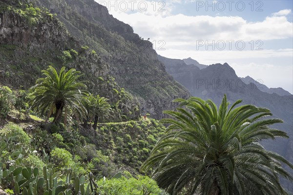 Hiking trail