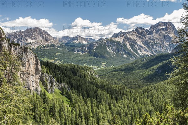 Mountain landscape with spruce forests near Cortina d'Ampezzo